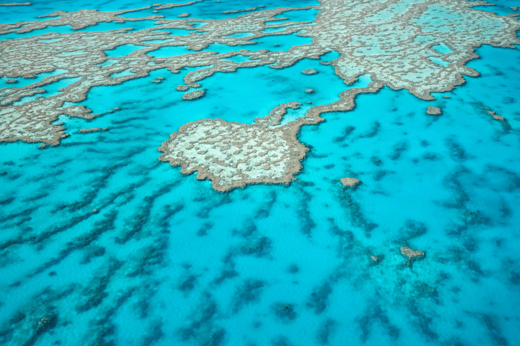 Grande barriera corallina australia