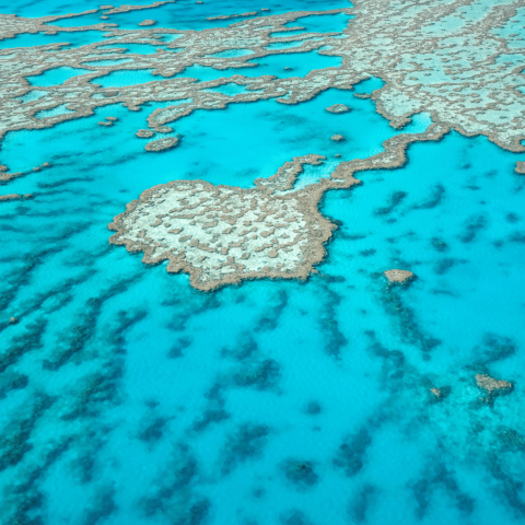 Grande barriera corallina australia