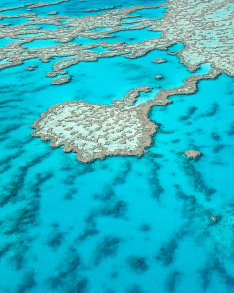 Grande barriera corallina australia