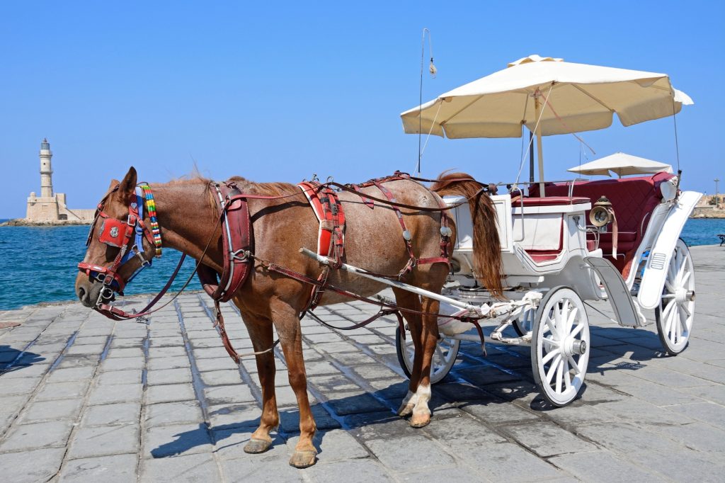 Carrozze cavalli palermo canva