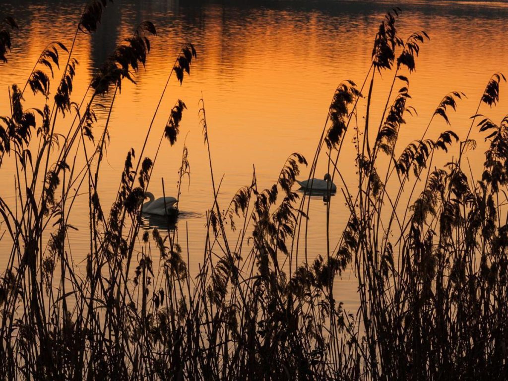 Natura, 1.048 le aree protette in Italia
