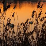 Natura, 1.048 le aree protette in Italia