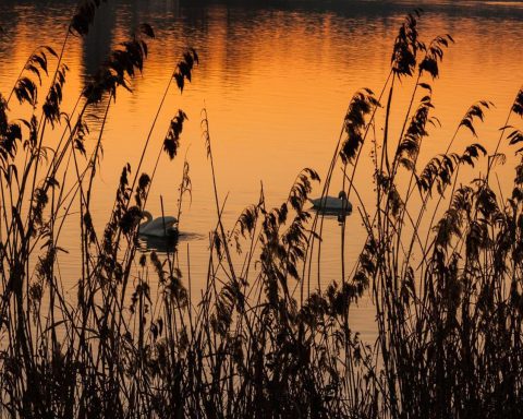 Natura, 1.048 le aree protette in Italia