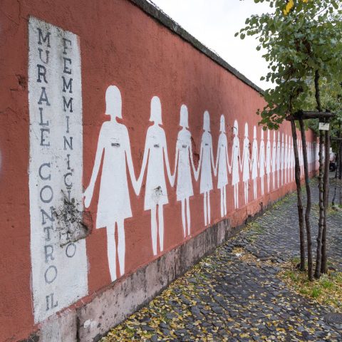 Murale femminicidio San lorenzo roma ipa