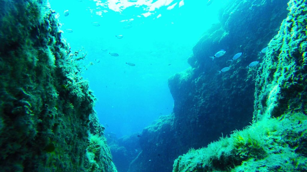 Mare oceano