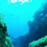Mare oceano