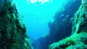 Mare oceano
