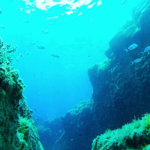 Mare oceano