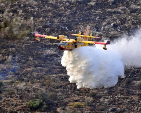 Incendi Italia, in sette mesi più di 1070 grandi roghi boschivi