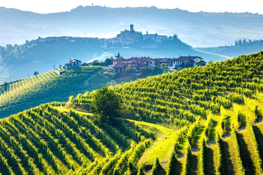 Vigneti nelle Langhe
