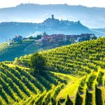 Vigneti langhe barolo canva