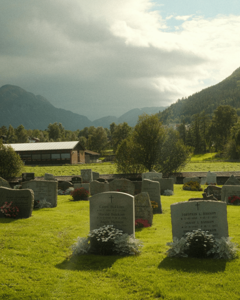 Cimitero verde montagna canva