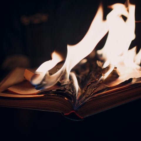 Libro distrutto ai canva