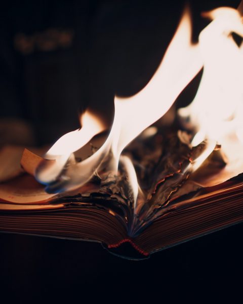 Libro distrutto ai canva