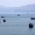 Navi bioinvasione stretto hormuz ipa