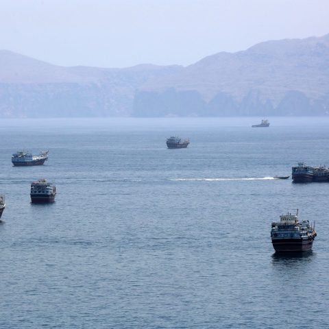 Navi bioinvasione stretto hormuz ipa