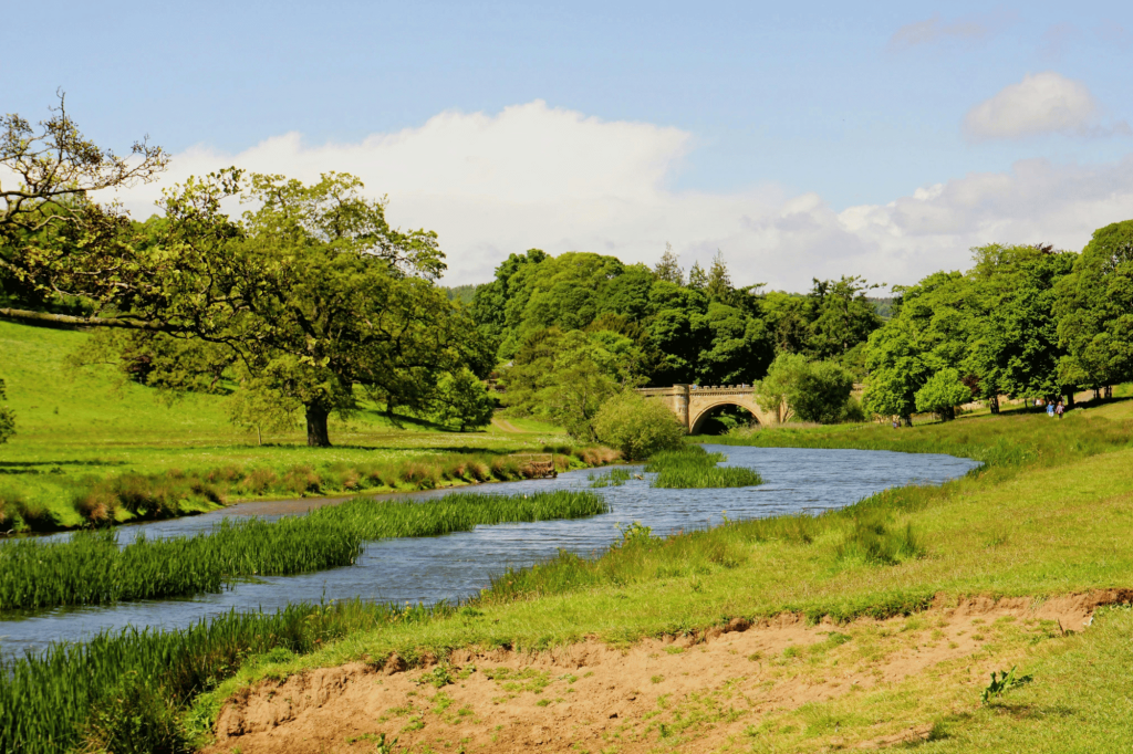 Fiume di campagna Alnwick Inghilterra