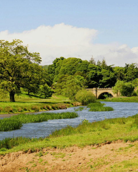 Fiume di campagna Alnwick Inghilterra