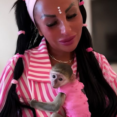 Rita de crescenzo scimmia fi