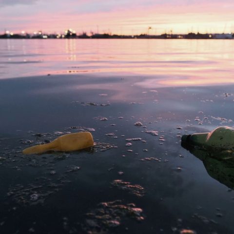 Disastro ecologico mare