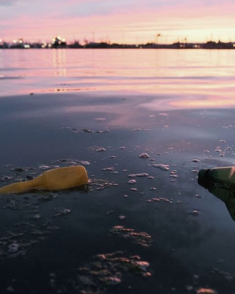 Disastro ecologico mare