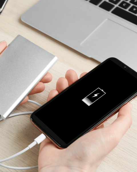 Batteria cellulare power bank canva