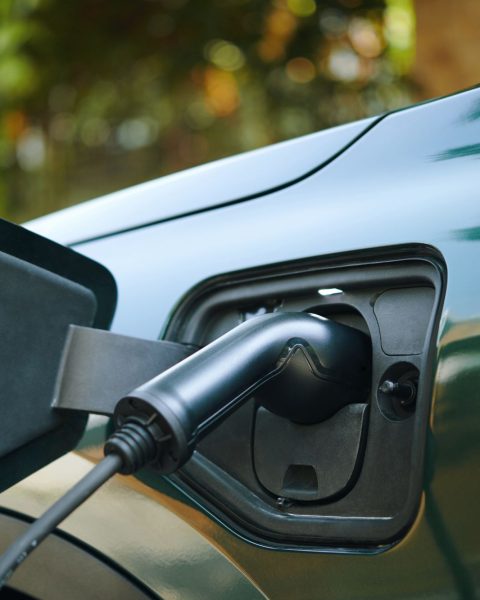 Auto elettriche canva