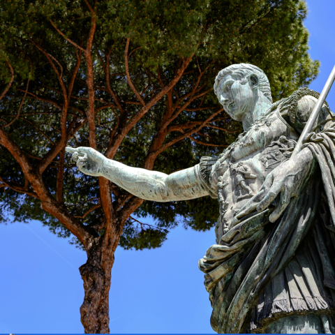 Roma alberi statua canva