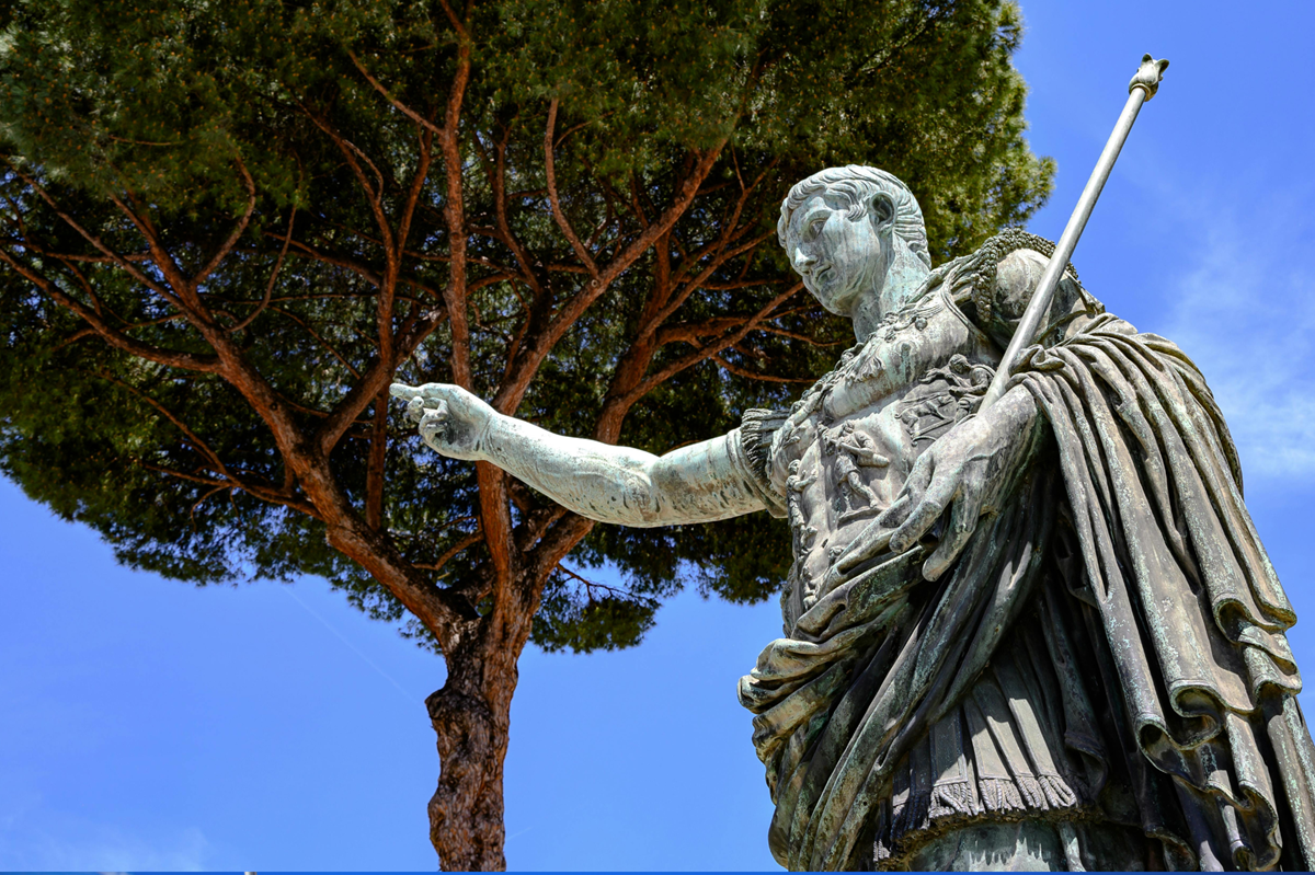 Roma alberi statua canva