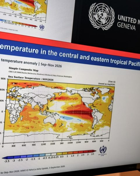 Aggiornamento WMO su El Niño