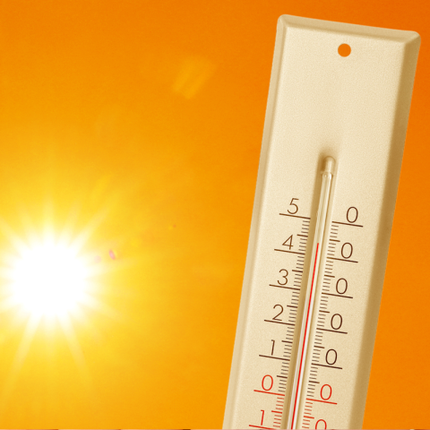 Caldo termometro