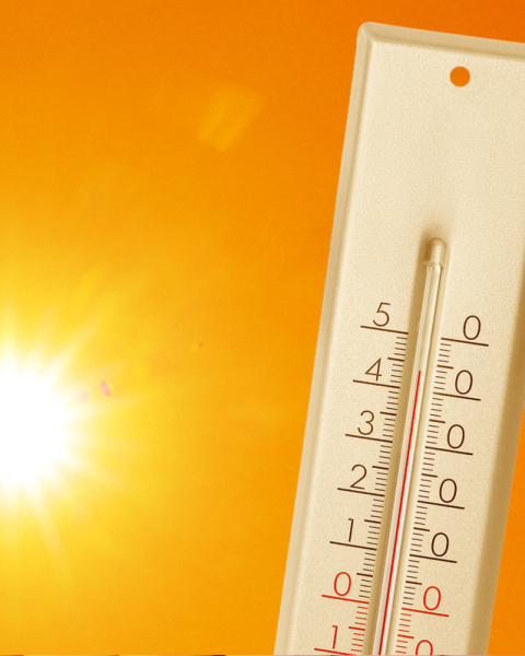 Caldo termometro