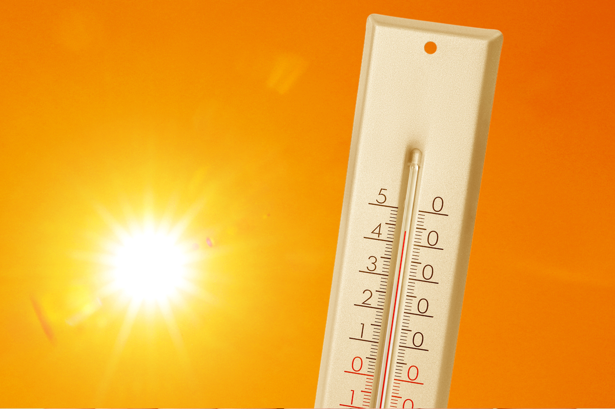 Caldo termometro