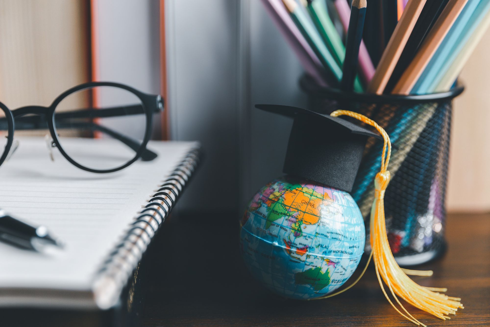 Expat laurea estero canva