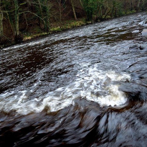 Fiume acque nere canva
