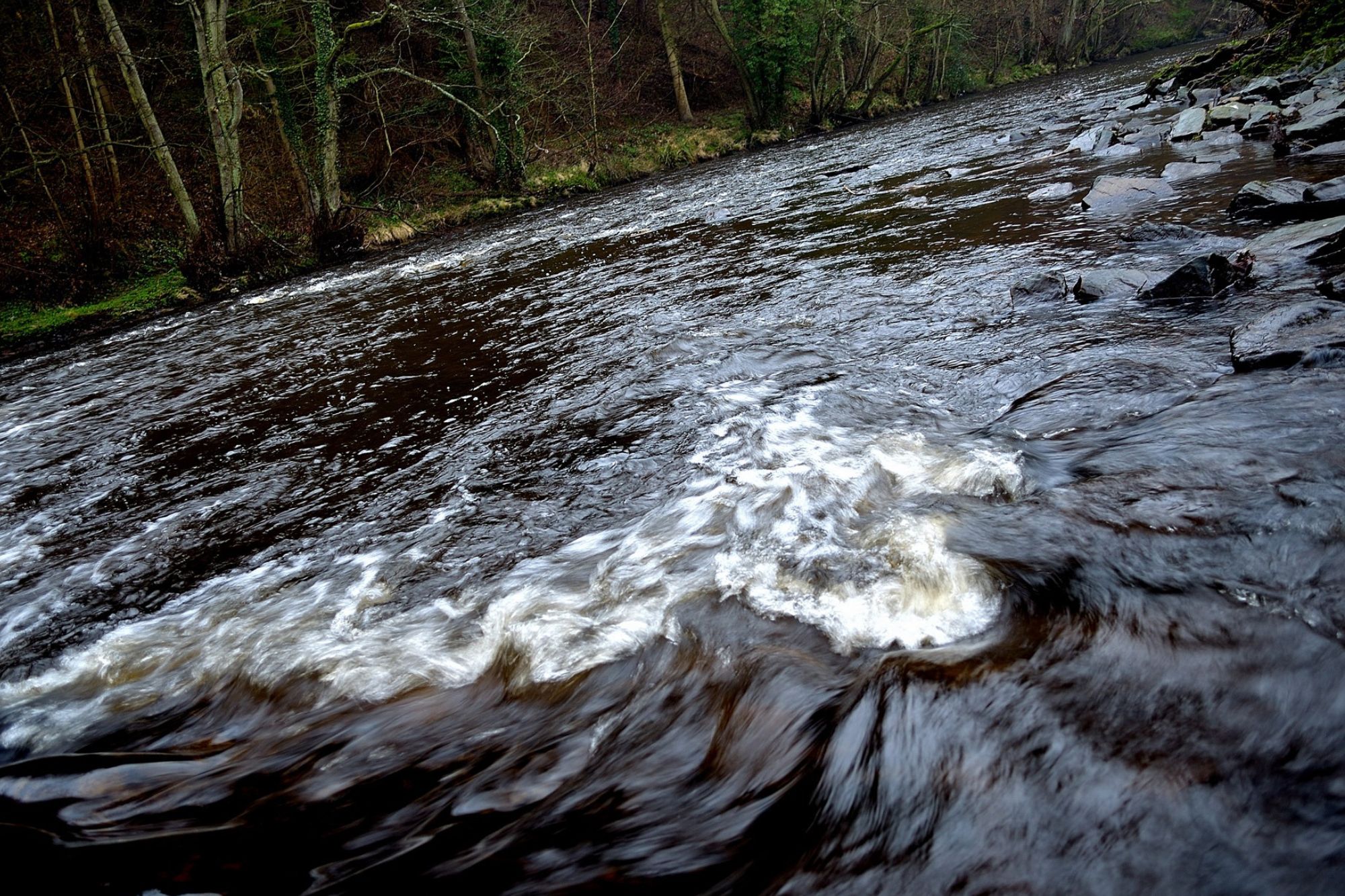 Fiume acque nere canva