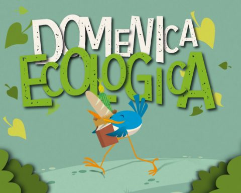 Domenica ecologica Comune Roma