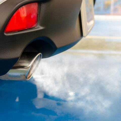 Smog auto suicidi