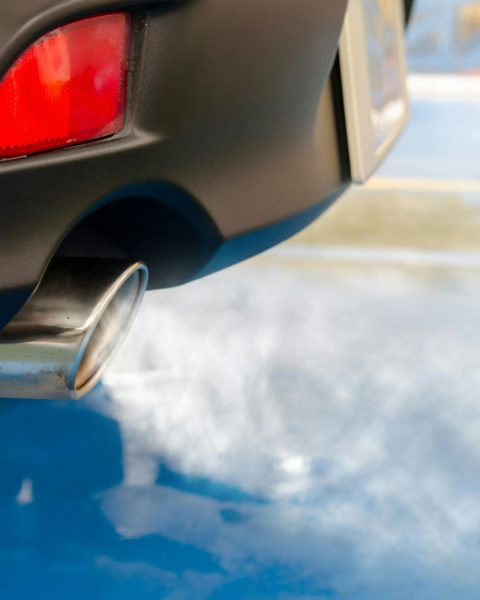 Smog auto suicidi