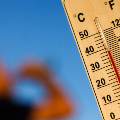 Temperature el nino caldo canva