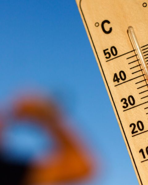 Temperature el nino caldo canva