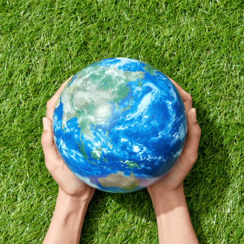 Pianeta terra tra le mani