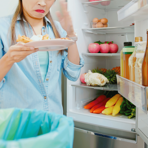 Frigorifero spreco alimentare canva