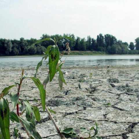 Imprese e water risk, rischio elevato ma scarsa percezione