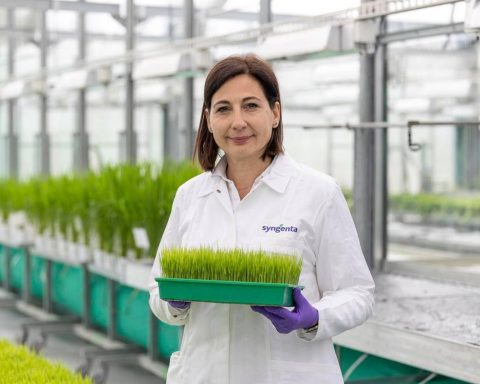 La chimica italiana ai vertici mondiali, American Chemical Society premia Camilla Corsi di Syngenta