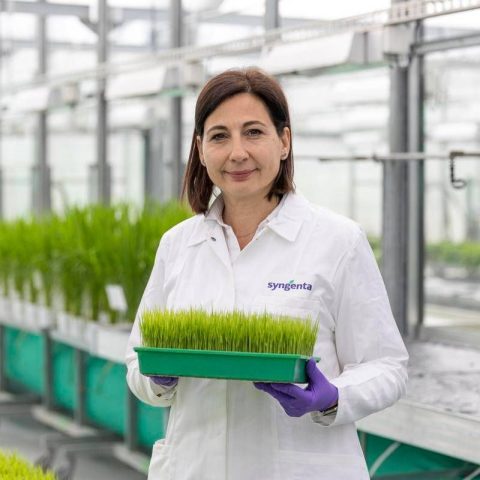La chimica italiana ai vertici mondiali, American Chemical Society premia Camilla Corsi di Syngenta