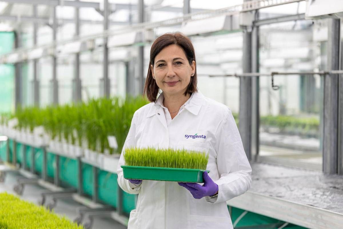 La chimica italiana ai vertici mondiali, American Chemical Society premia Camilla Corsi di Syngenta