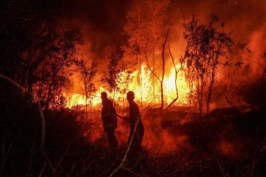 Incendio boschivo in Indonesia