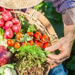 Cesto con verdure dell'orto