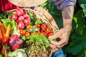 Cesto con verdure dell'orto